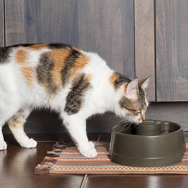 Drinkwell® Current Pet Fountain - Small 1.2L