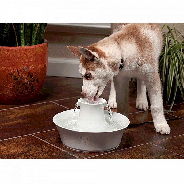 Drinkwell® Ceramic Avalon  Cat and Dog Water  Fountain