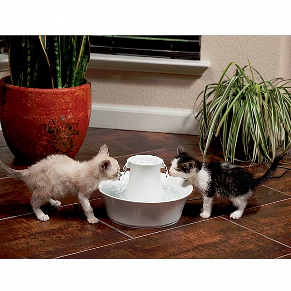 Drinkwell® Ceramic Avalon  Cat and Dog Water  Fountain