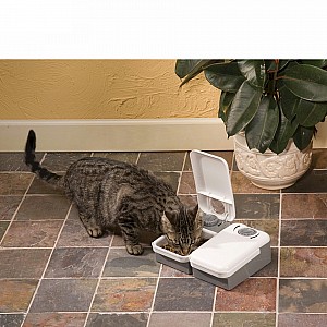 Petsafe Eatwell™ 2 Meal Pet  Cat and Dog Water Feeder