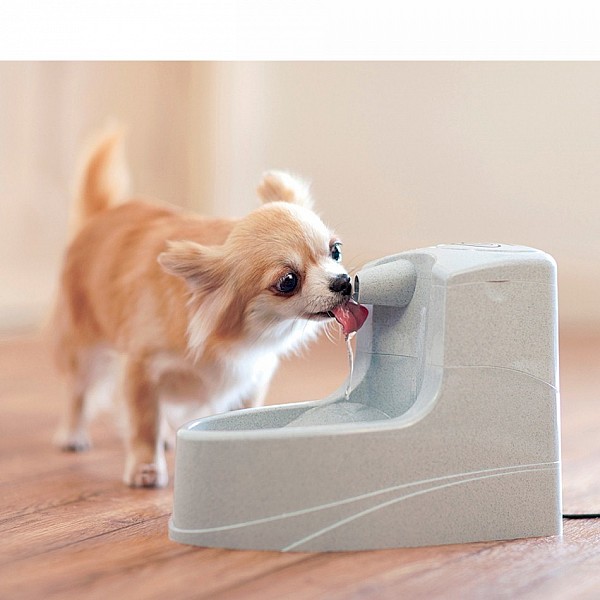 Drinkwell® Mini Pet Cat and Dog Water Fountain