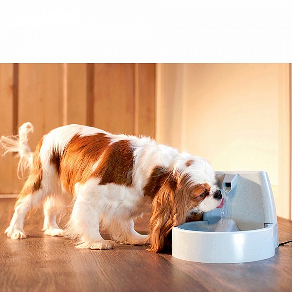 Drinkwell® Original Pet  Cat and Dog Water Fountain