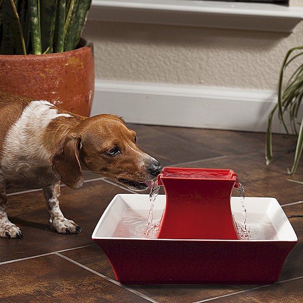 Drinkwell® Pagoda Pet Fountain (Red)